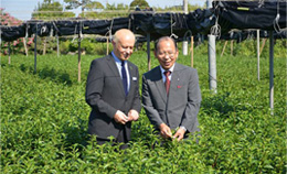 新井園本店の『天照』をローマ法王へ献上