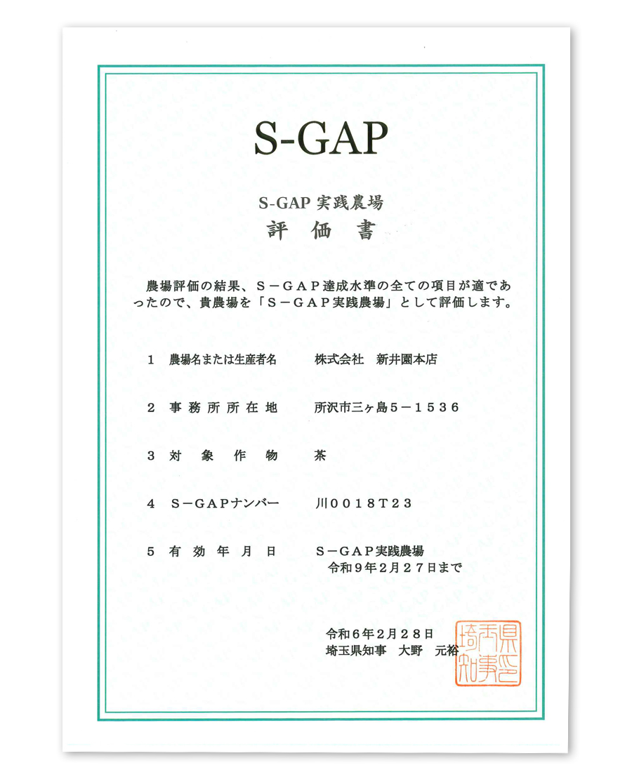 S-GAP